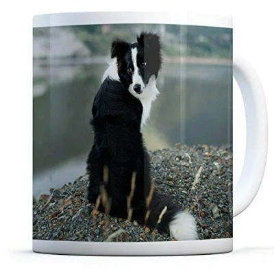 Image of Border Collie Dog Drinks Mug Cup Kitchen Birthday Office Fun #12385