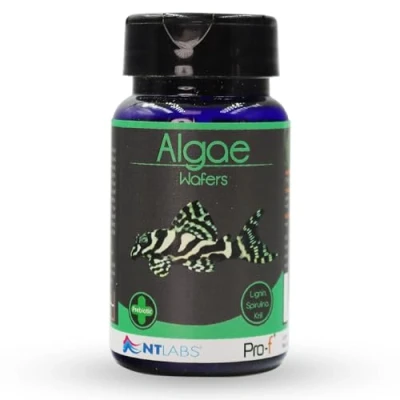 Image of NT Labs Pro f Algae Wafers, Food For Bottom Feeding Fish Species, Aquarium Food, Sinking 13mm Wafer, Nutritious Feed, SIZE 40gm