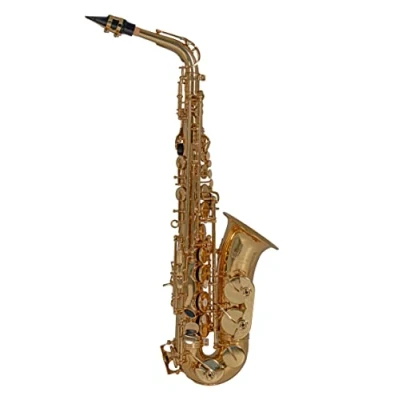 Image of Roy Benson Eb Alt Saxophon MOD.AS 202 lackiert, inkl. leichtem Rechtecketui