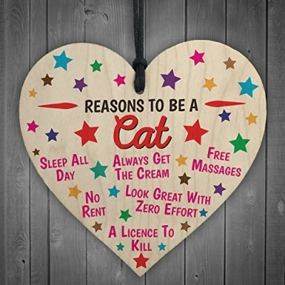 Image of RED OCEAN Reasons To Be A Cat Novelty Wooden Hanging Heart Shabby Chic Friendship Gift