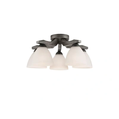 Image of Adriano Multi Arm Semi Flush Ceiling Light, Glass Shades, Graphite, 5x E27
