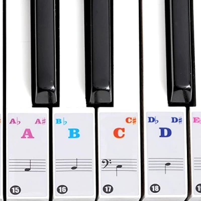 Image of Piano Stickers, 61/88 Key Transparent High Adhesive Removable Keyboard Stickers Notes Labels for Electronic Kids Beginner Accessory (Colored)