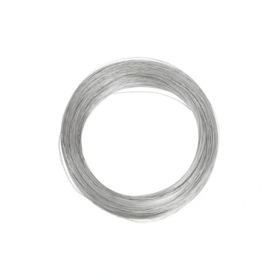 Image of 0.9mm 304 Stainless Steel Wire 32Ft for DIY Manual Arts and Crafts Bailing Sculpting Artistic Jewelry Making Twine Bonsai Training Garden