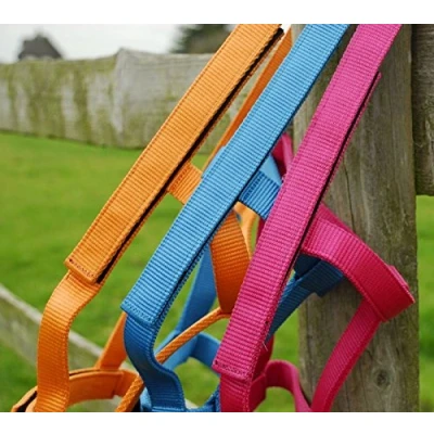 Image of Rhinegold Field Safe Headcollar Cob Raspberry