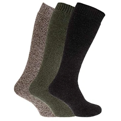 Image of Mens Thermal Wool Blend Long Wellington Boot Socks (Pack Of 3) (UK Shoe 6 11, EUR 39 45) (Green/Charcoal/Beige)