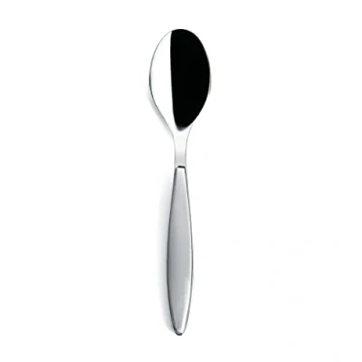 Image of Guzzini 23000192 Feeling Spoon, Stainless Steel, Grey (grau grau)