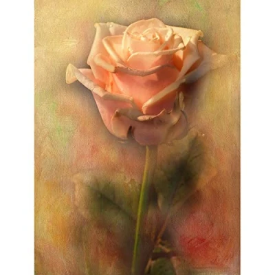 Image of Wee Blue Coo Dusty Pink Rose Vintage Grunge Flower Photo Art Large Print Poster Wall Decor 18x24 inch
