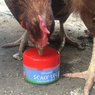 Image of Jake&#039;s Farm Yard Organic Scaly Leg Soothing Jelly Support Healing For Chickens and Poultry Protects from Bacteria, Fungi, Irritating Mites (50ml Jar)