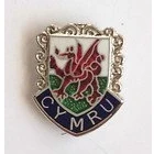 Image of CYMRU WALES CREST QUALITY ENAMEL LAPEL PIN BADGE