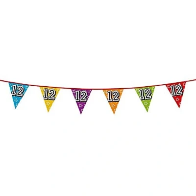 Image of BOLAND BV 30012 12 Years Multi Coloured Flag Bunting