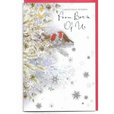 Image of Christmas Card from Both of Us 23 x 15 Cm (9 6 inches) Wishes Robins