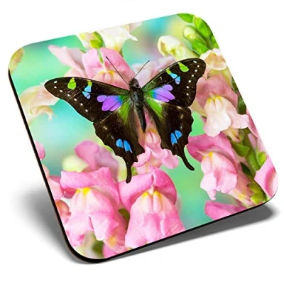Image of Great Single Coaster Square Beautiful Butterfly Flowers Glossy Quality Coasters Tabletop Protection for Any Table Type #2079
