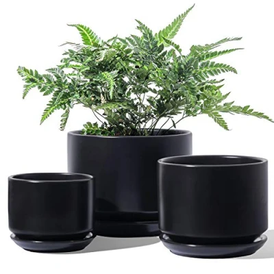 Image of LE TAUCI Ceramic Plant Pots, 11+13+17 cm, Set of 3, Planters with Drainage Hole and Saucer, Indoor Flower Pot Mesh Pad, Gifts for Mom, Black