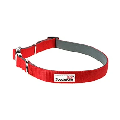 Image of Doodlebone Padded Collar, Ruby, 3 6