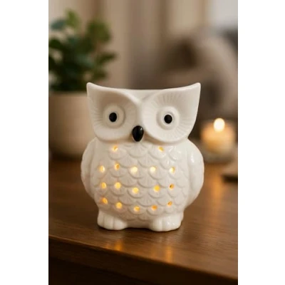 Image of Ceramic Owl Wax and Oil Burner Cute White Aroma for Essential Oils Melts 10cm x 14cm