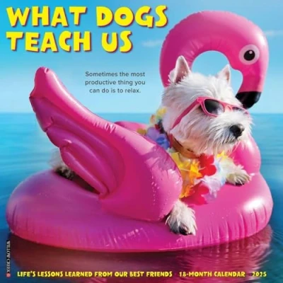 Image of What Dogs Teach Us 2025 Wall