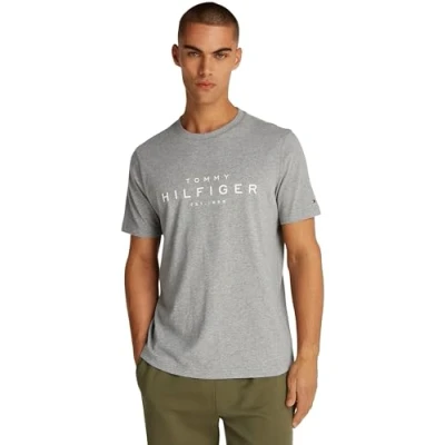 Image of Tommy Hilfiger BIG TEE Print Tshirt, Men&#039;s, Size: Small, Medium grey