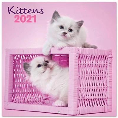 Image of Grupo Erik Official Chantrenne Cat 2021 Wall Calendar 11.8 x inches (16 Months) Family Planner CP21013