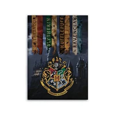 Image of AYMAX S.P.R.L Compatible with Harry Potter Fleece Blanket, 100 x 140 cm, Microfibre