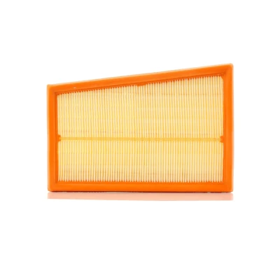 Image of J1321063 Air Filter PURFLUX A1317 59mm 163mm 233mm Insert NISSAN: Qashqai / Qashqai+2 I, X Trail, RENAULT: Koleos I