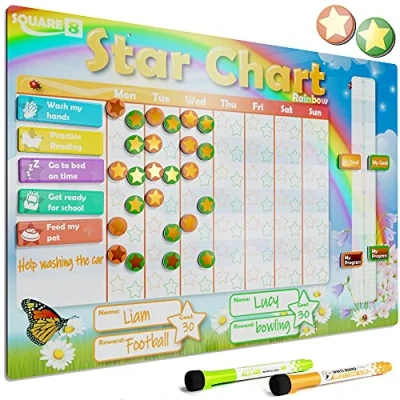 Image of (Rainbow) Magnetic Reward Chart with Golden Stars, Encourage Good Behaviour and Develop Life Long Positive Habits. Marker Pens &amp; Activity Magnets..