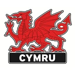 Image of Welsh Wales Cymru PU Fridge Magnet Sheep Dragon (Cymru Dragon)