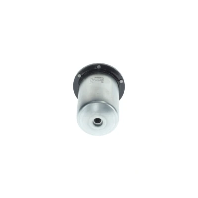 Image of 164003560R, 164004350R, 164008333R Fuel Filter BOSCH F 026 402 378 In Line 10mm RENAULT: MASTER 3 Kasten, Trafic 3,
