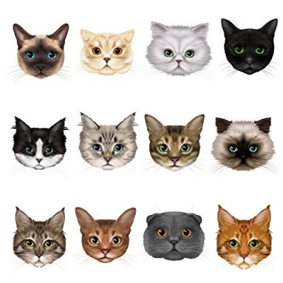 Image of Articlings 12 Cute Cat Face Window Clings Different Breeds Non adhesive Stickers Quickly Decorate and Brighten your Windows