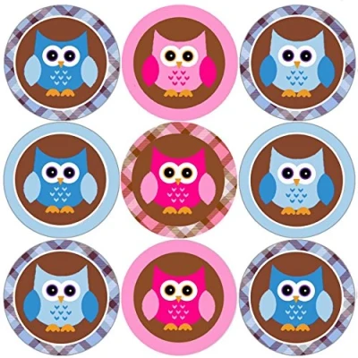 Image of 144 Pink and Blue Owl 30mm School Reward Stickers for Classroom, Parent