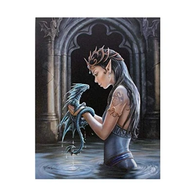Image of ANNE STOKES WP_75422 Plaque, Multicoloured, 20x26 cm