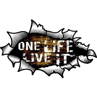 Image of CT Design One Life Live It Funny Slogan with OVAL RIPPED OPEN TORN METAL Effect Motif Vinyl Car Sticker 150x90mm