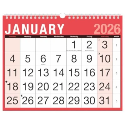 Image of 2025 Easy View Monthly Planner Large Font Month To A4 Wall Hanging Calendar Spiral Bound Family Organiser