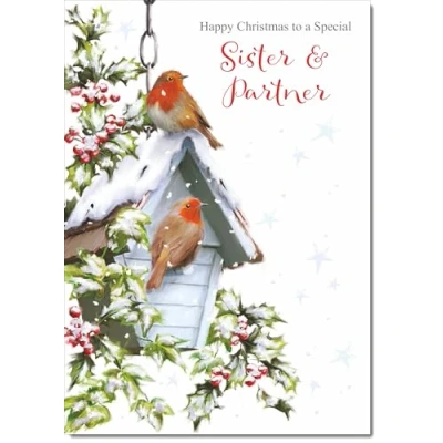 Image of doodlecards Sister &amp; Partner Christmas Card Two Robins in Snow Medium Size with Plain Red Envelope, 21 x 15cm