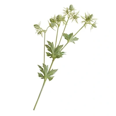 Image of BLOOM Artificial Single Green Sea Holly Stem 55cm Faux Silk Flowers, Rustic Wedding Flowers &amp; Decorations, Fake Foliage Flower Stems, Indoor Home Decor, Vase Not Included