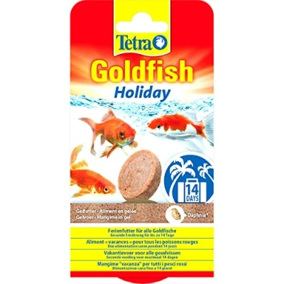 Image of Tetra Goldfish Holiday 2 x 12 G