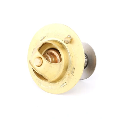 Image of 0619359B306, 061935R0000, 19300PM3003, 19300PM3004, 19300PR3004 Engine thermostat GATES TH14178G1 78C with gaskets/seals without housing