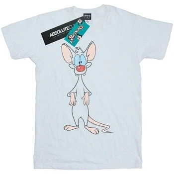 Image of Absolute Cult Animaniacs Men&#039;s Pinky Classic Pose T Shirt White Large