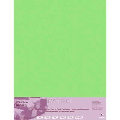 Image of Clairefontaine Ref 96158C Pastelmat Card Sheets (Pack of 5 Sheets) 360gsm 70 x 100cm Light Green Colour Specially Formulated For Use With Pastels