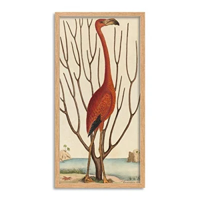 Image of Wee Blue Coo Catesby Flamingo Bird Zoology Long Panel Framed Wall Art Print