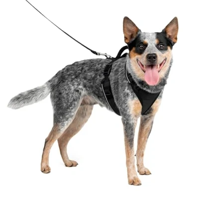Image of PetSafe EasySport Harness, Walking Harness for Dogs, Adjustable, Padded, Medium Black