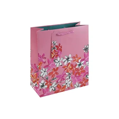 Image of Eurowrap Painted Floral Gift Bag With Tag Design By Jeff Banks Mothers Day Birthday Occassions Medium