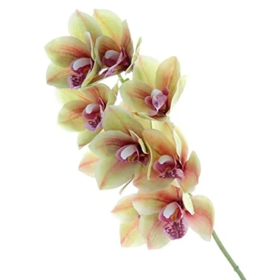 Image of Corsage Creations Real Touch Cymbidium Orchid Green (70cm long, 9 heads)