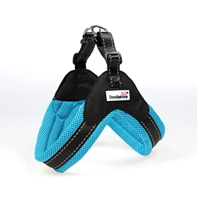Image of Doodlebone Boomerang Dog Harness, Aqua, 6 7