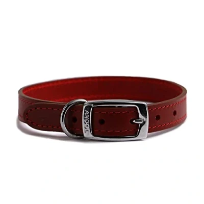 Image of Ancol Heritage Durable Leather Red Dog Collar Puppy Pet Training Accessory 35 43cm, Size 4