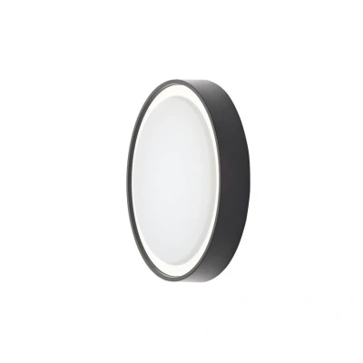 Image of Ripon 4000k LED Outdoor 27cm Flush Wall Lamp Black IP55