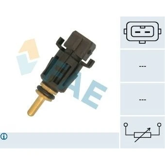 Image of FAE 33167 Injection System