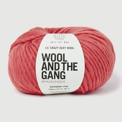 Image of Wool and the Gang, Lil&#039; Crazy Sexy Wool, Raspberry Pink, 100g, Chunky