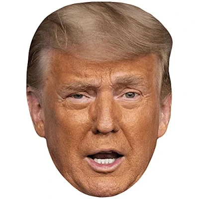 Image of Donald Trump (Eyebrow) Celebrity Mask, Flat Card Face, Fancy Dress Mask