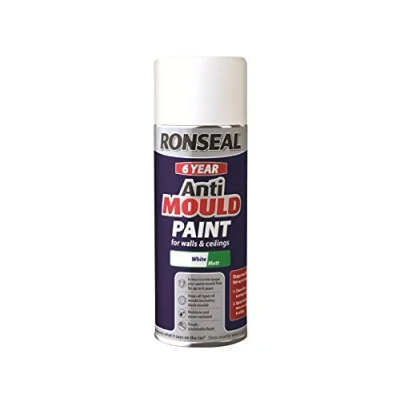 Image of 3x6 Year Anti Mould Aerosol White Matt 400ml