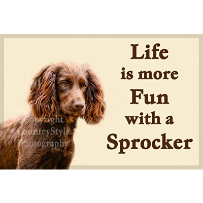Image of Sprocker Spaniel Fridge Magnet Life is more fun with a